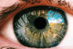 Augenblick mit Optik Metzger