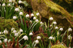 Sieben Wanderwege für den Frühling