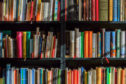 Sieben Bücher, die Janine inspirieren