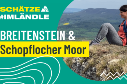 Vom Breitenstein zum Schopflocher Moor