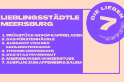 Meine Lieblingsstadt am Bodensee: Meersburg